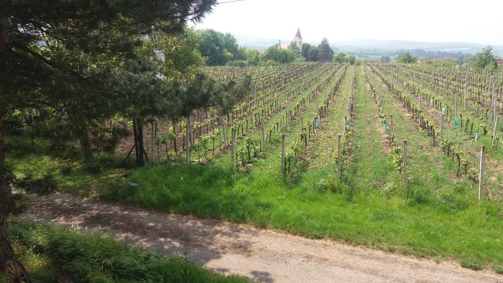 Penzion U Tomcalu Terezín Екстериор снимка